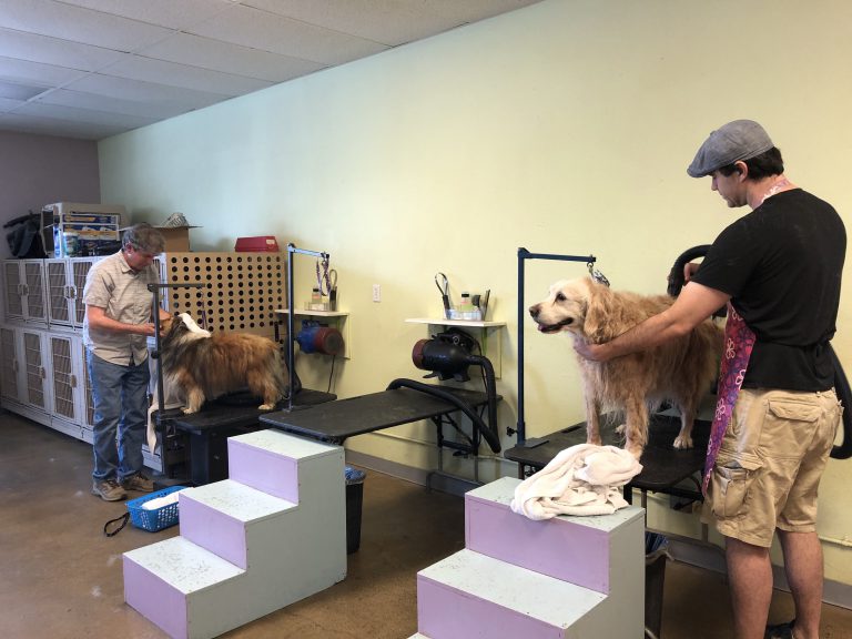 Self Service Dog Wash PupARazzi